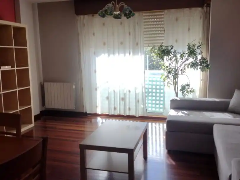 Living room of Flat for rent in Santiago de Compostela 