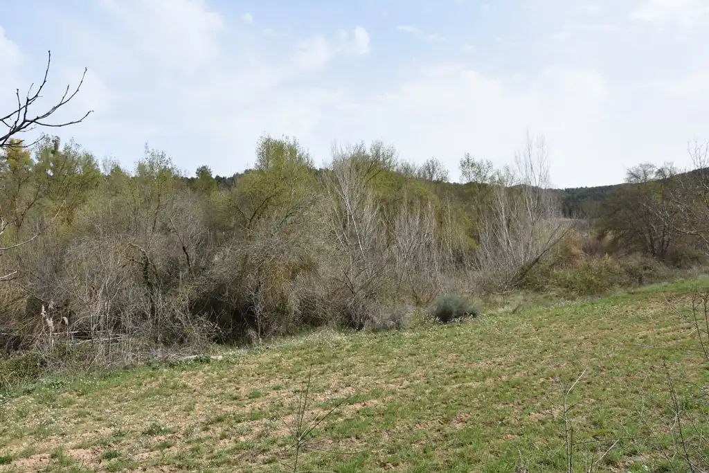 Terreni e lotti in vendita a Arens de Lledó, imagen 8