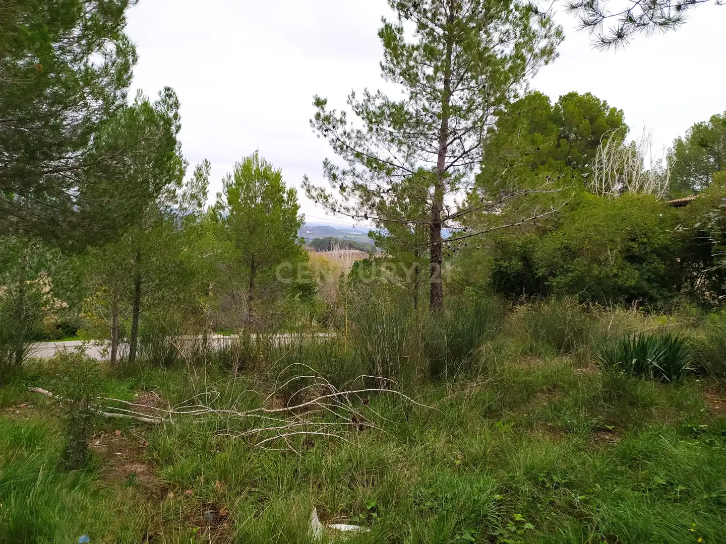 Residential land for sale in Ronda Pagesia 67C, imagen 16