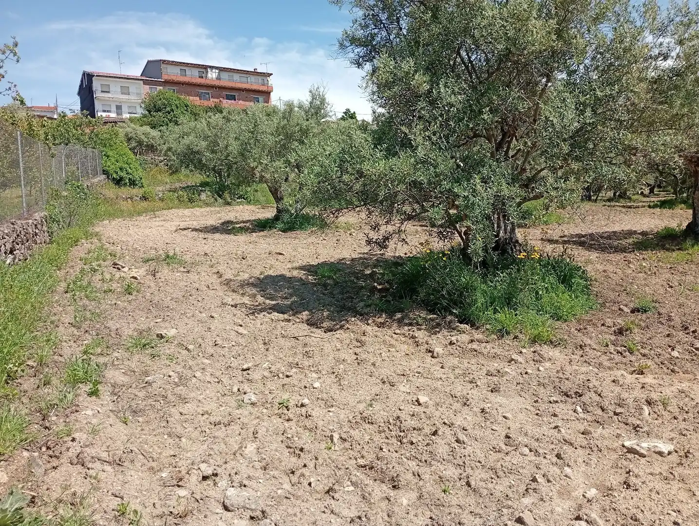 Terreni e lotti in vendita a Villanueva de la Vera, imagen 31