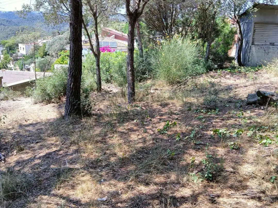 Detached house with garden for sale in Avinguda Dolça de Provença 33, imagen 7