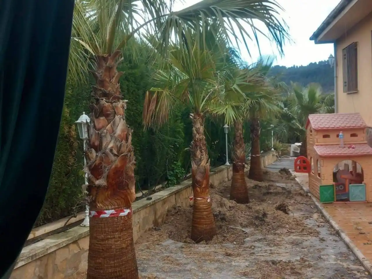 Jardín de Casa o chalet en venta en Benillup