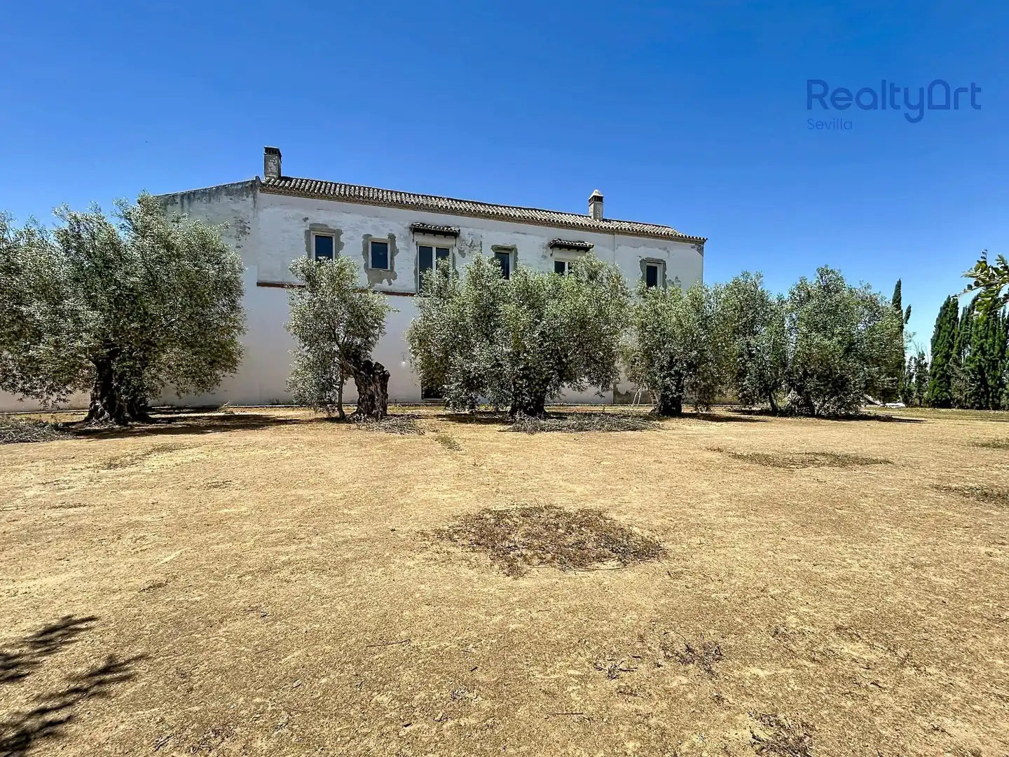 Vista exterior de Finca rústica en venta en Bollullos de la Mitación con Jardín privado y Piscina