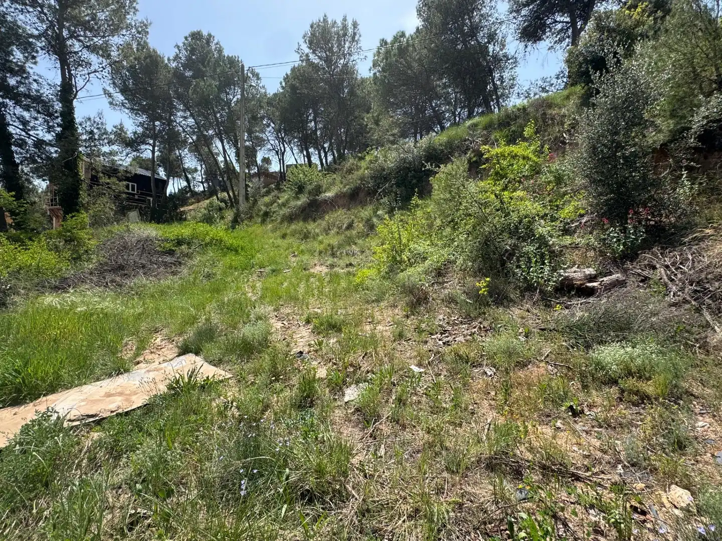 Residential land for sale in La Pobla de Claramunt, imagen 9