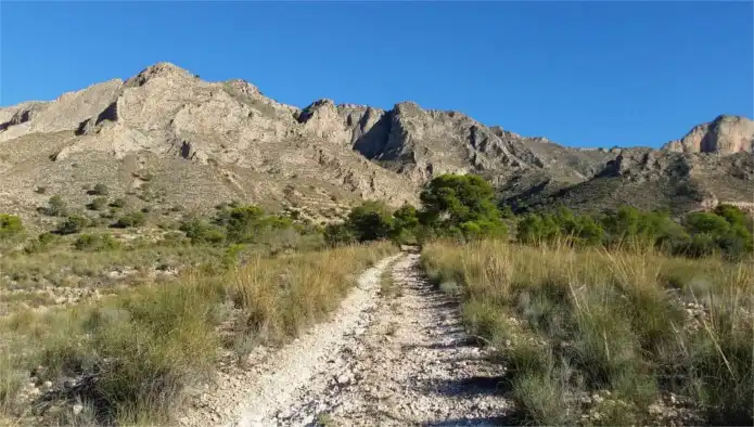 Lands and plots for sale in Pje Herrada del Chícamo, imagen 6