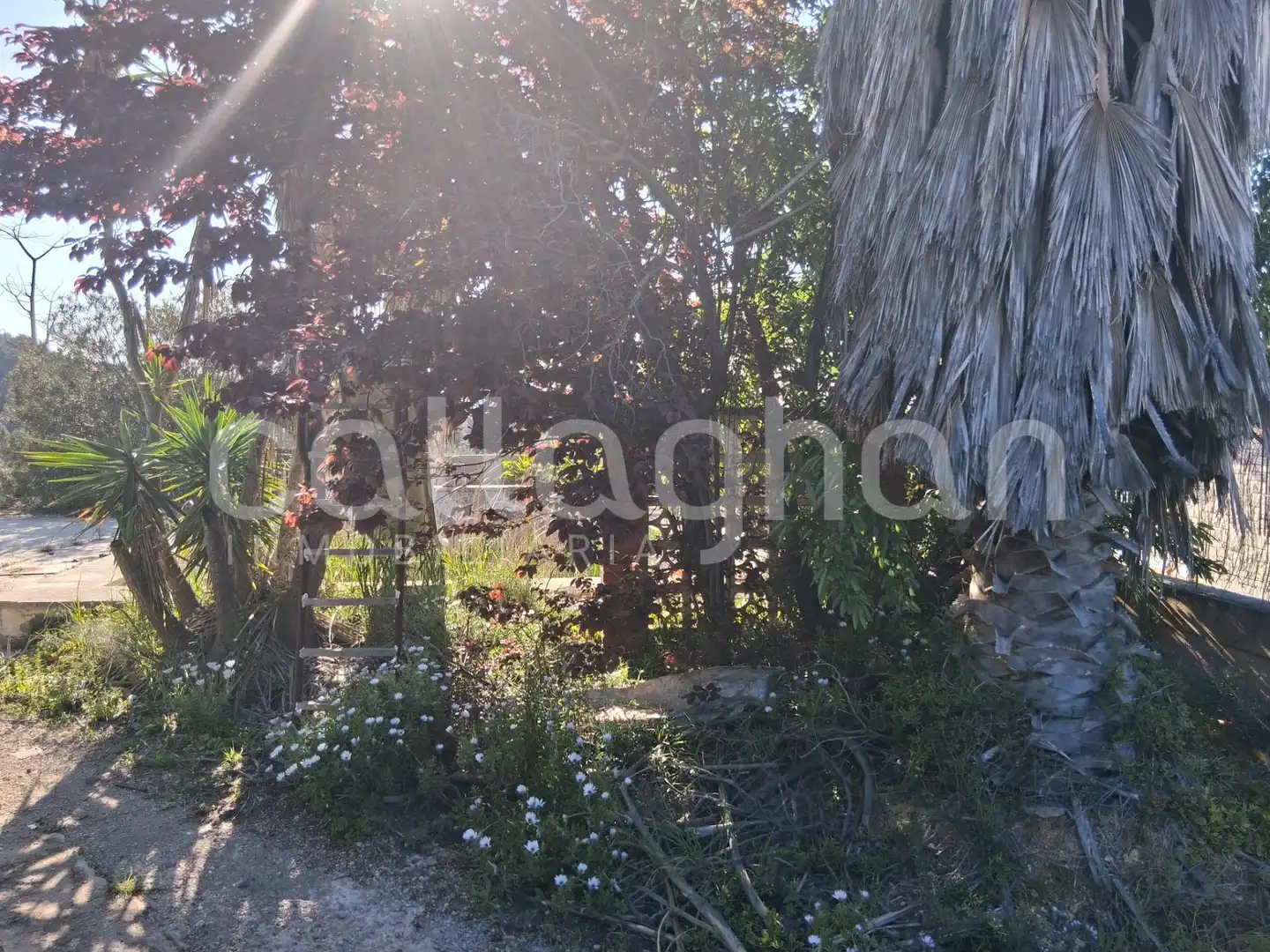 Residential land for sale in Camino de la Creu d'Horquera, imagen 19