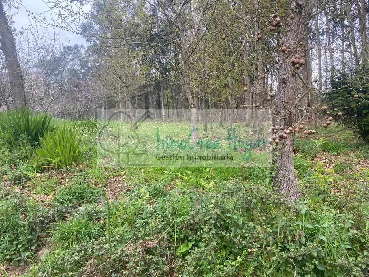 Lands and plots for sale in Salceda de Caselas, imagen 10