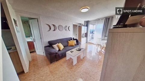 Foto 3 de Piso de alquiler en Can Mas, Barcelona