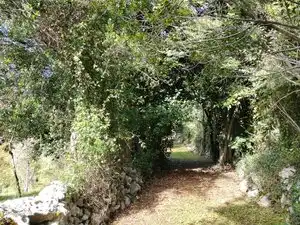 Terrain résidentiel à vendre à Aldea Bones, imagen 3