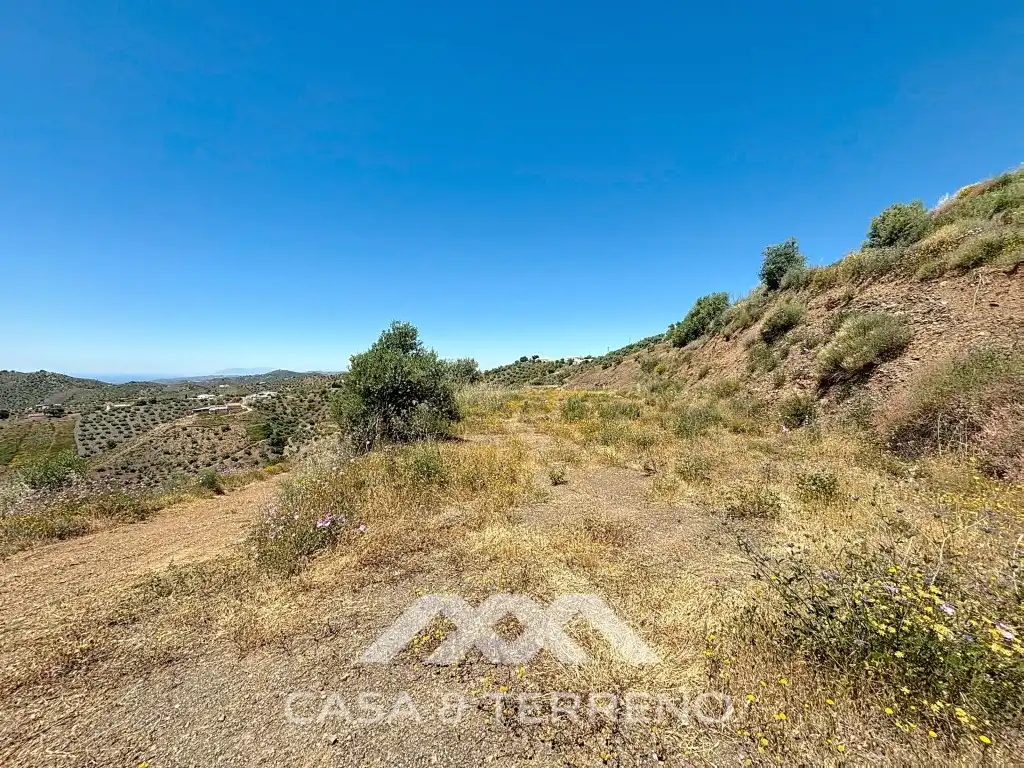Land for sale in Canillas de Albaida