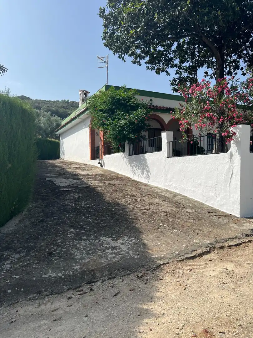 Terreno rustico in vendita a Cabra, imagen 9