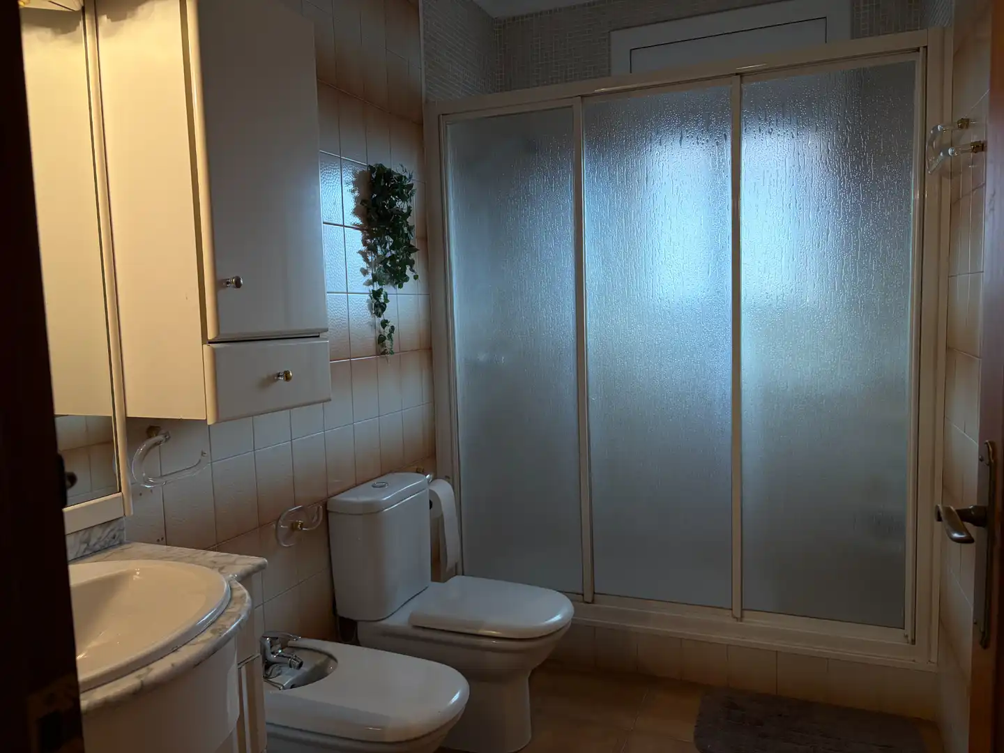 Baño de Casa o chalet en venta en Barberà del Vallès con Aire acondicionado, Calefacción y Jardín privado