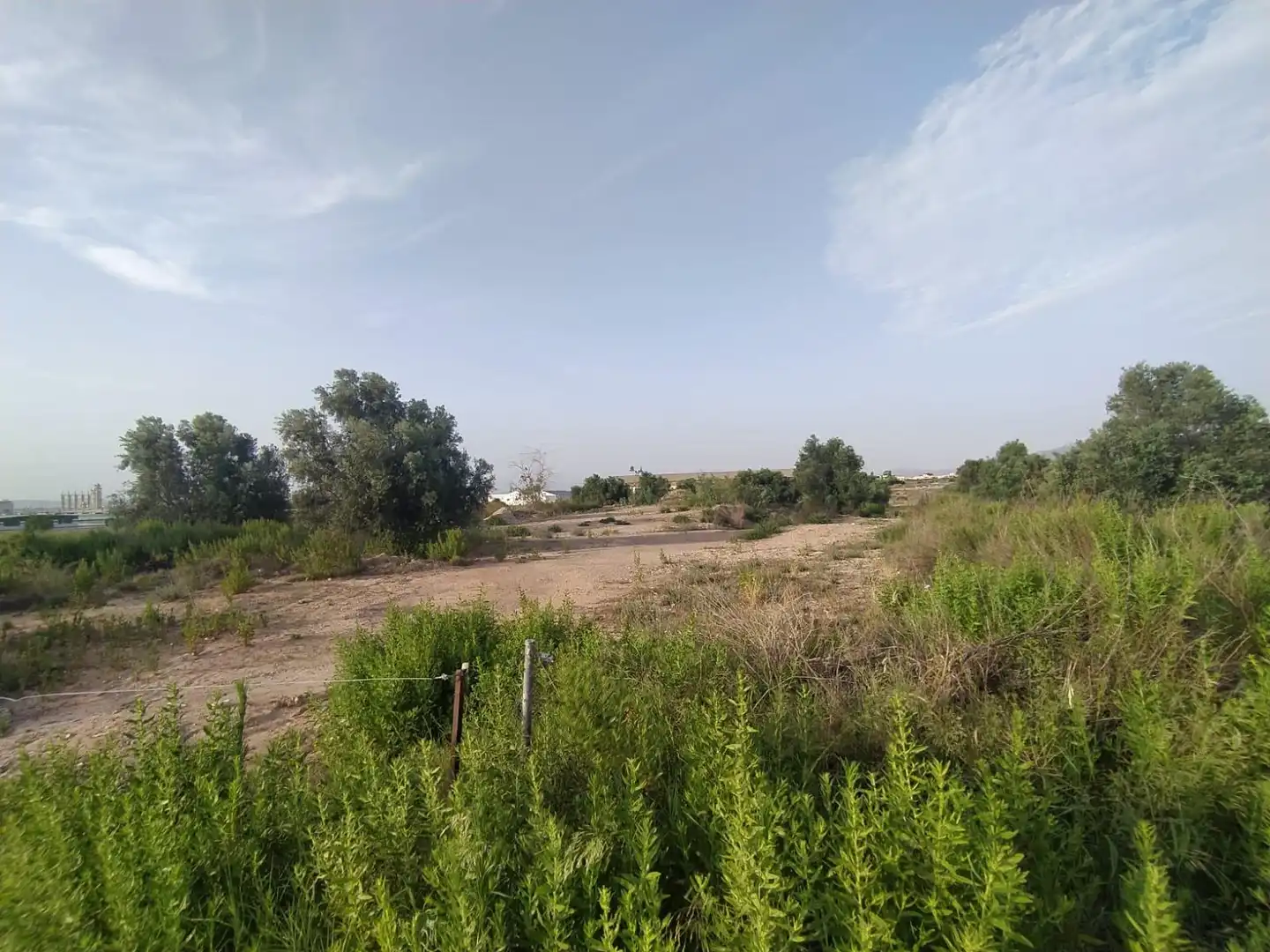 Terreny rústic en venda a Pedanías Oeste