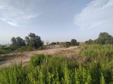 Terreno rustico in vendita a Pedanías Oeste