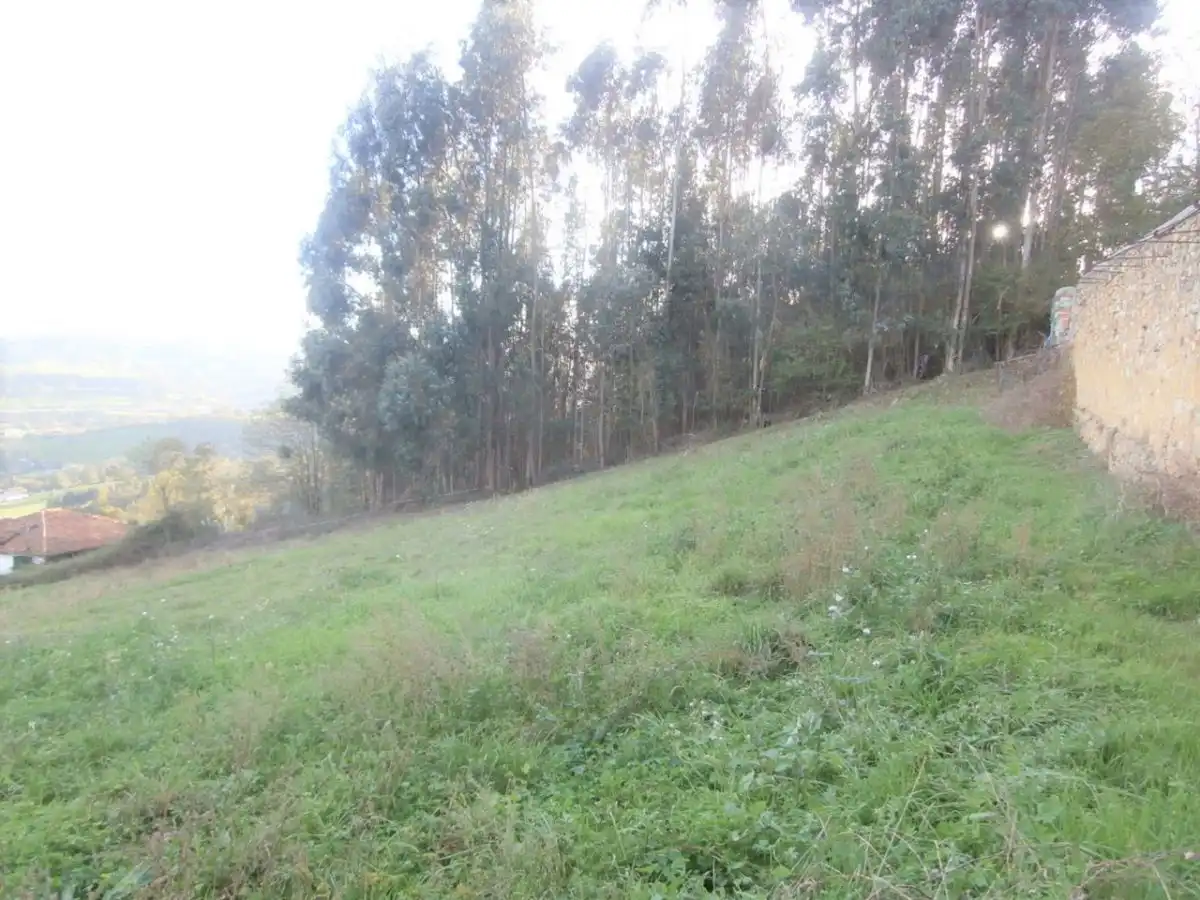 Residential land for sale in Grado, imagen 7