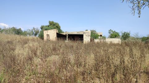 Lote de 2 fincas rústicas para construir 2 viviendas unifamiliares, immagine 2