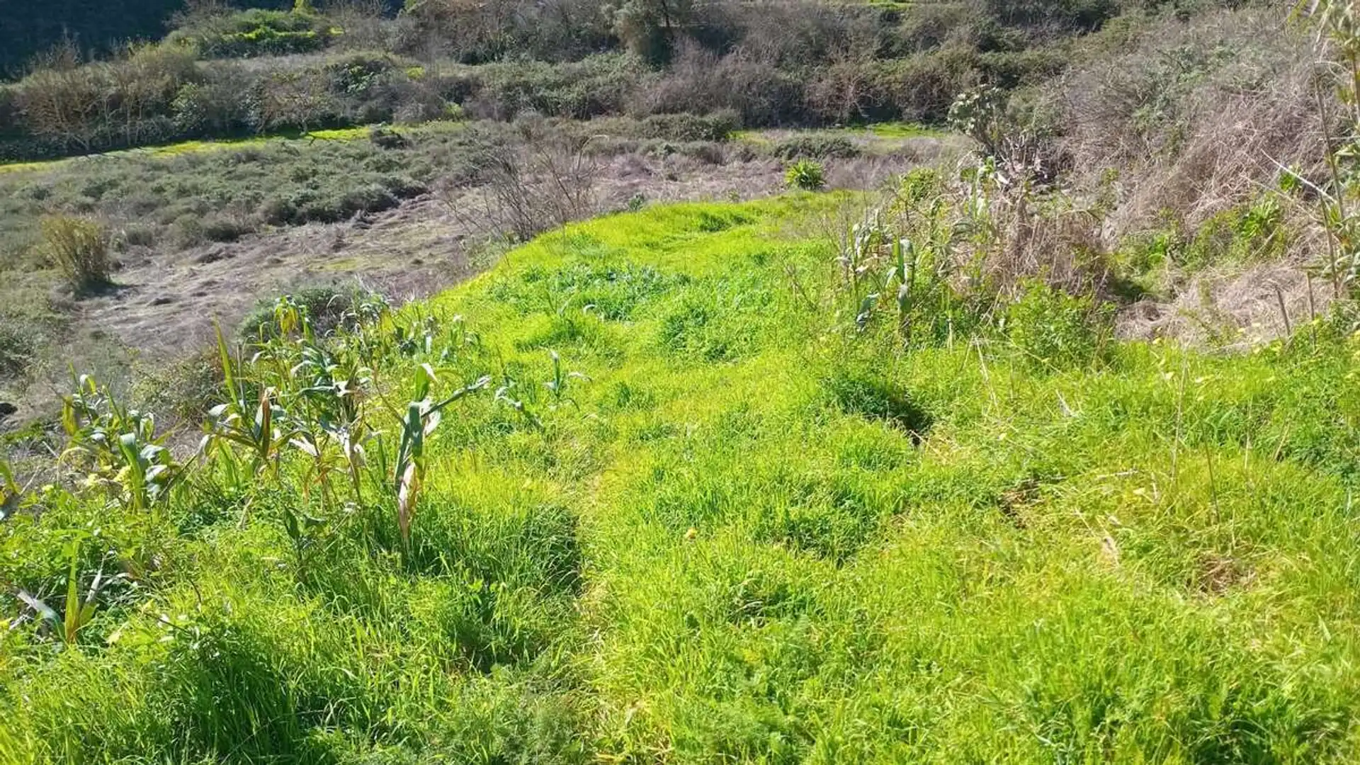 Finca rústica en venta en Teror