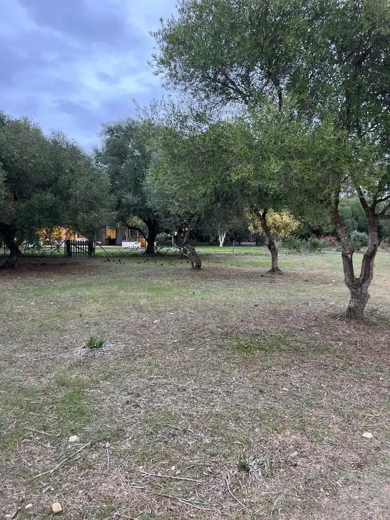 Casa rústica en venda a Benalup-Casas Viejas, imagen 18