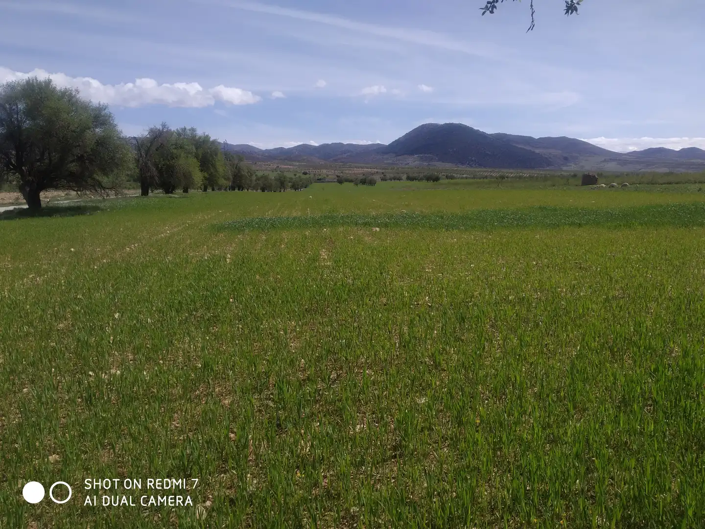 Chalet en venta en Gor, imagen 8