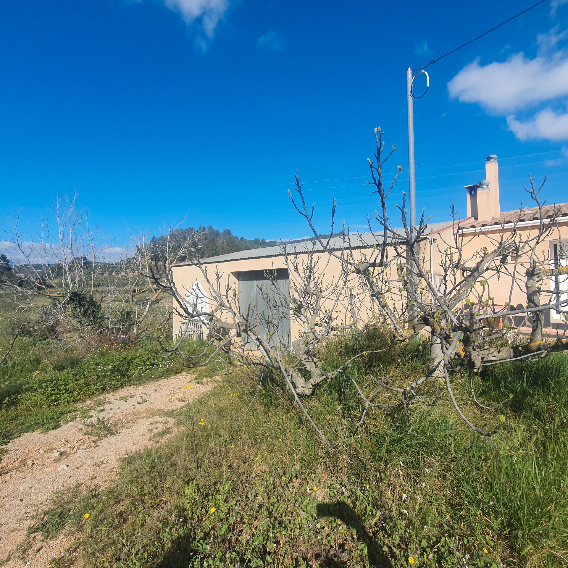 Vista exterior de Finca rústica en venda en Benifallet amb Moblat