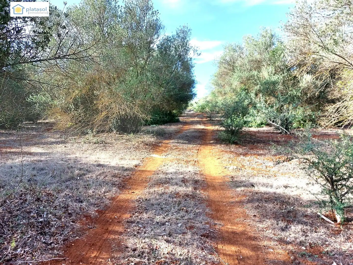 Terreni e lotti in vendita a Camino del Camino de los Arrieros, imagen 46