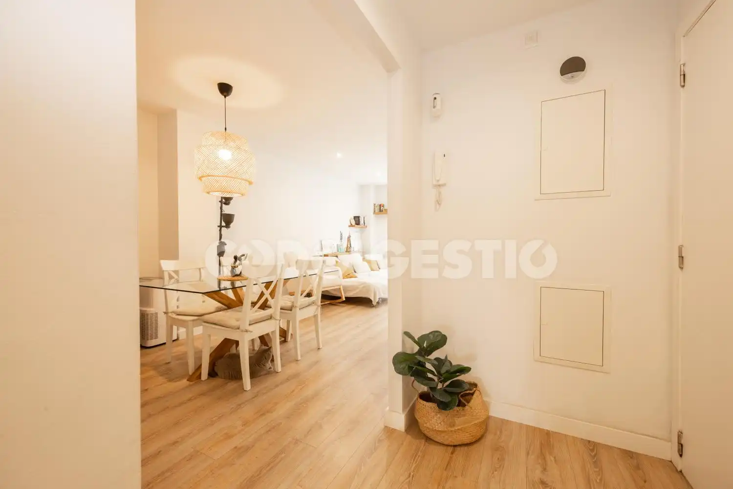 Appartamento con terrazza in vendita a Els estudis, imagen 13
