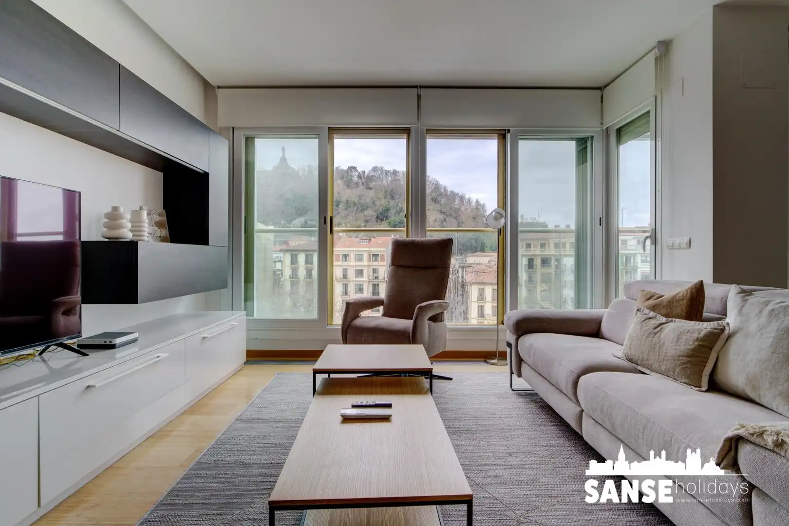 Sala de estar de Piso de alquiler en Donostia - San Sebastián 
