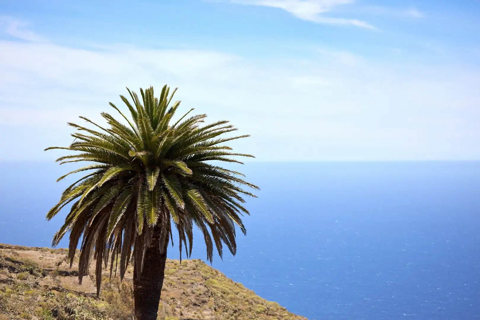 Vista exterior de Casa o chalet en venta en Valverde (Santa Cruz de Tenerife) con Jardín privado