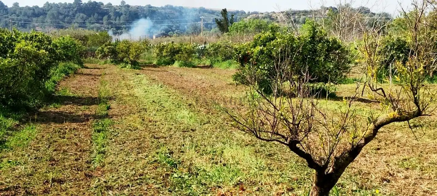 Lands and plots for sale in Roquetes, imagen 13