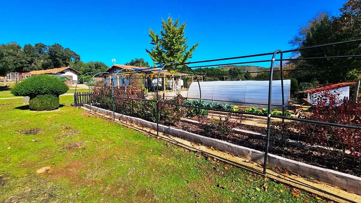 Jardín de Casa o chalet en venta en Cortelazor con Jardín privado, Terraza y Trastero