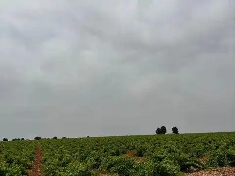 Terreno en venta en Villarrobledo