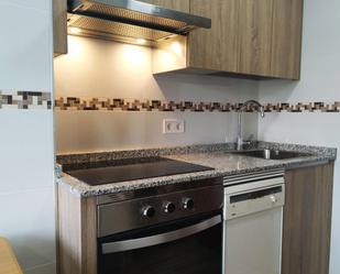 Kitchen of Flat to rent in  Madrid Capital  with Heating, Parquet flooring and Terrace