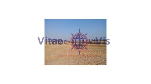 Foto 5 de Casa o chalet en venta en Diseminados Alara, Vélez-Blanco, Almería