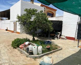 Vista exterior de Casa o xalet en venda en Almonte amb Balcó