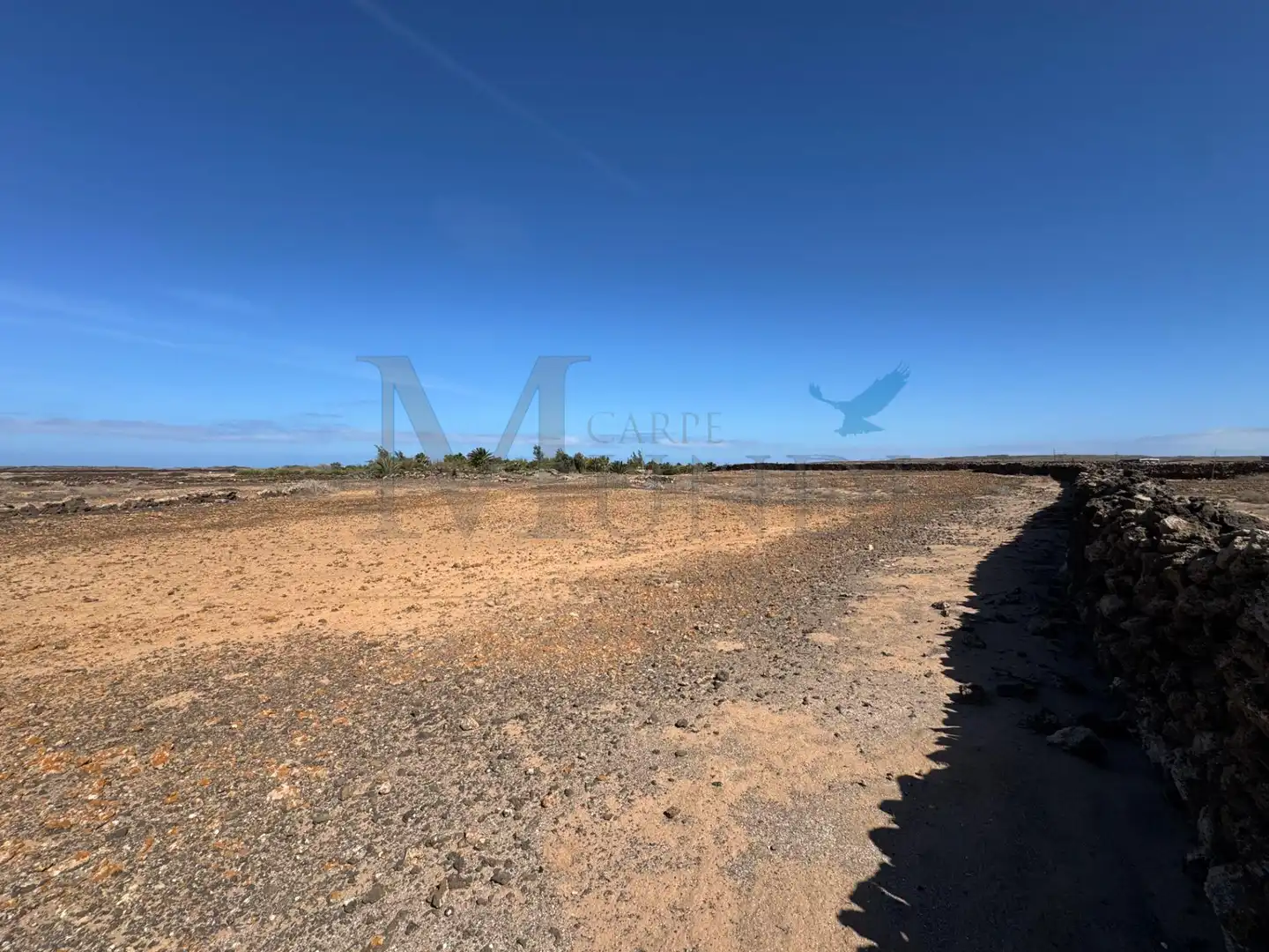 Land for sale in La Oliva
