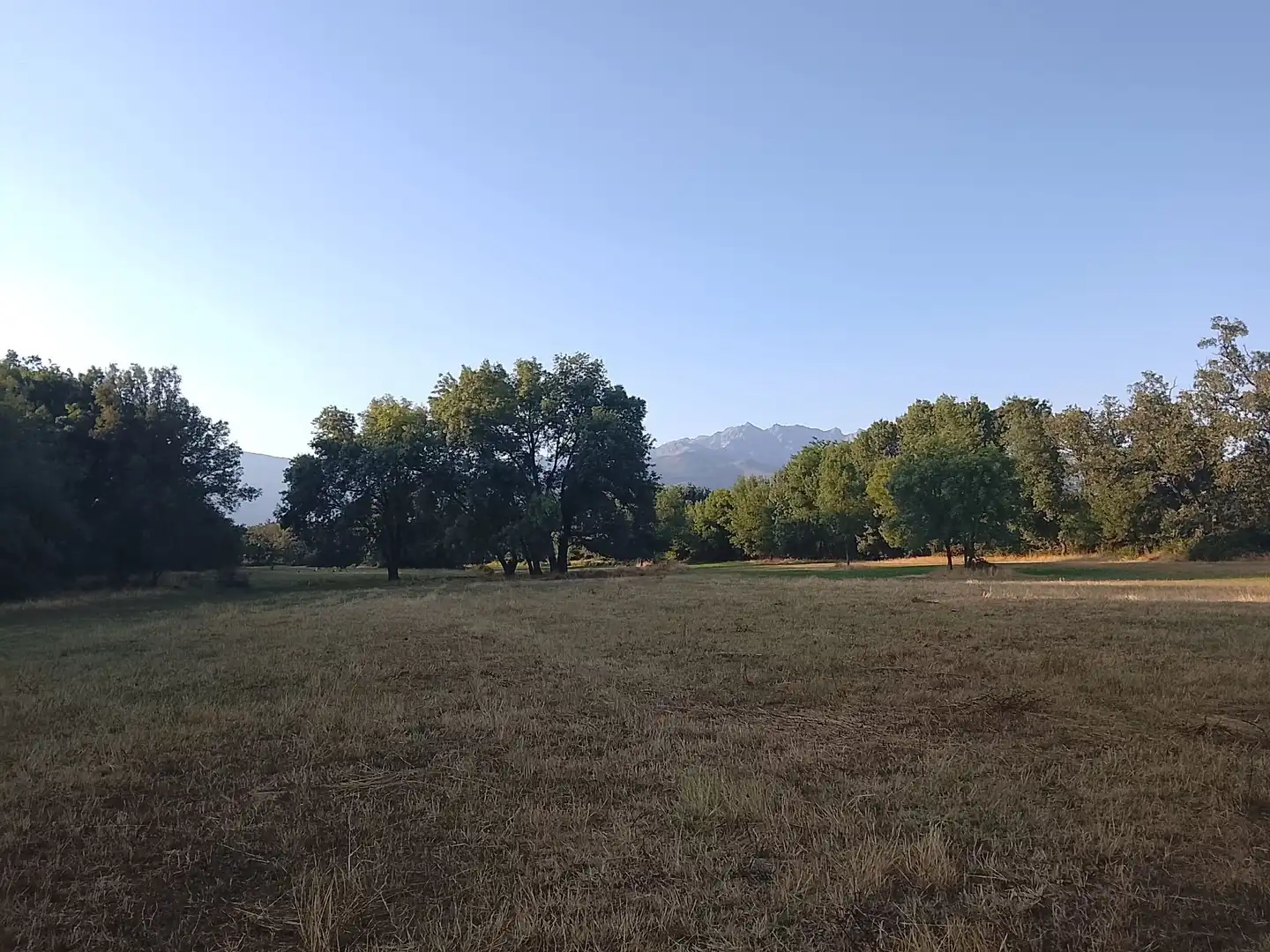 Terreni e lotti in vendita a Madrigal de la Vera