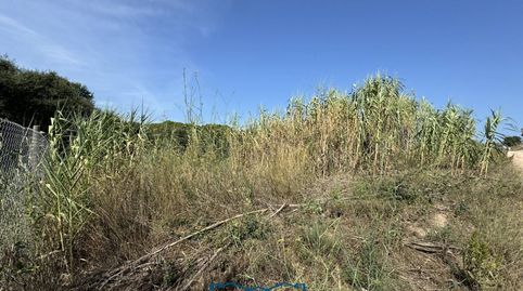 Foto 2 de Terreno en venta en Calle la Julia, 16, Tordera pueblo, Tordera