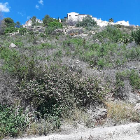 Terreno residencial en Venta en Pego