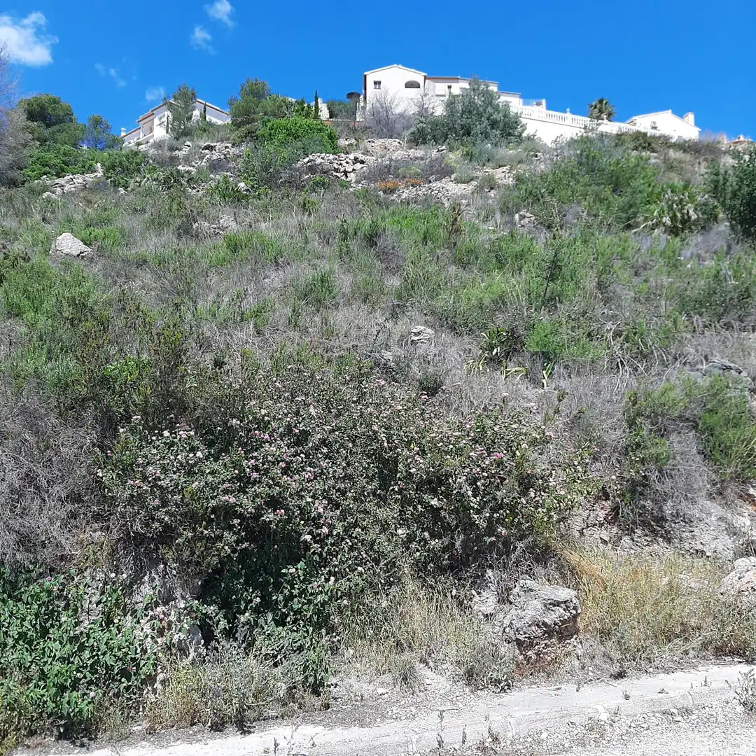 Terreny residencial en venda a Pego