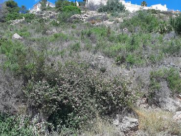 Terreny residencial en venda a Pego
