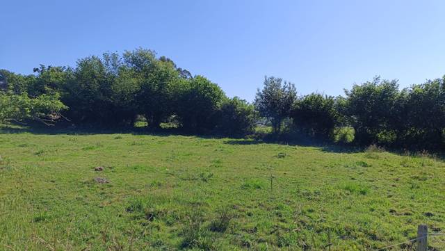 Terreno residencial en Venta en Vioño - BO SAN PEDRO en Polanco