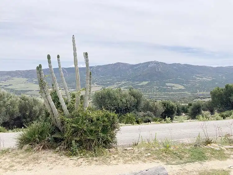 Country house with garden for sale in Tarifa ciudad, imagen 2