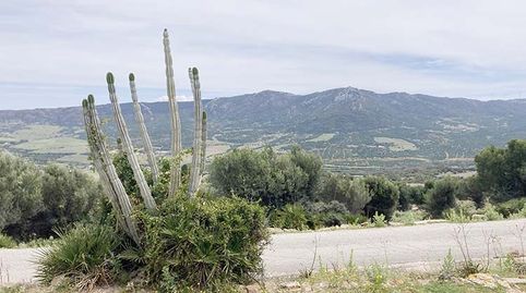 Se vende finca de 2093 m2 con casa en un entorno único, imatge 3
