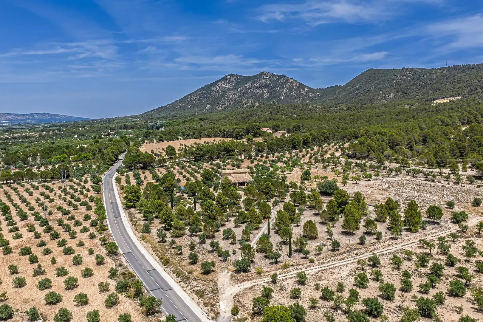 Finca rústica en venda en Biar amb Calefacció, Jardí privat i Terrassa