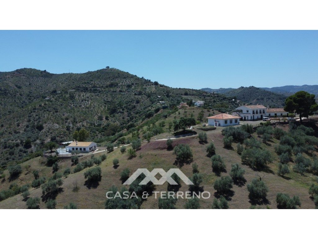 Premises for sale in Comares