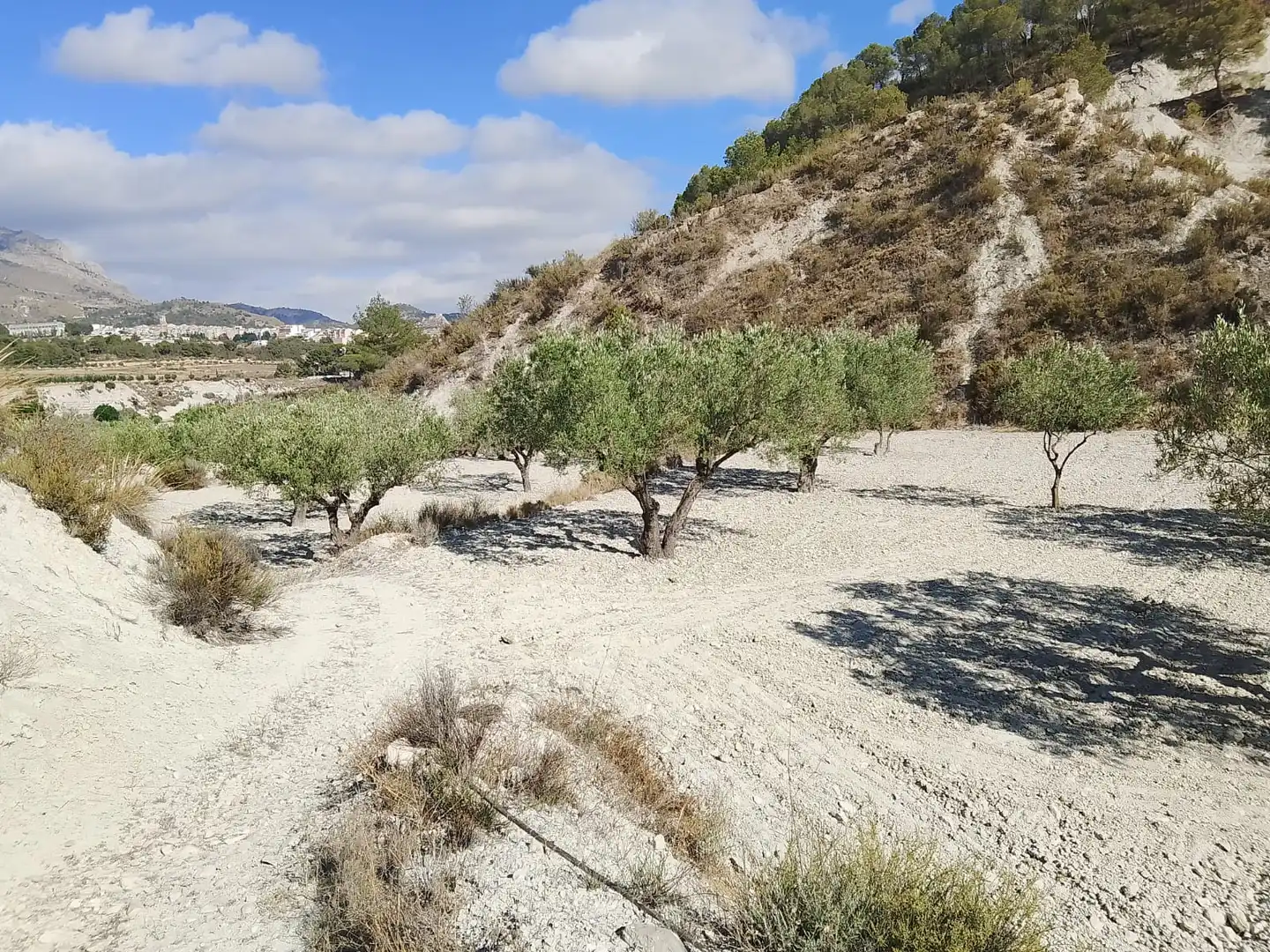 Terreno rustico in vendita a N/A, imagen 117