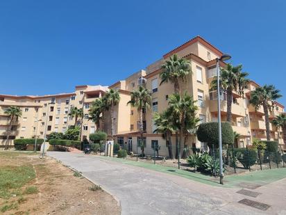 Exterior view of Flat for sale in Algeciras  with Terrace