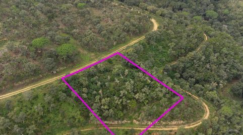 Terreno urbanizable de 2.075 m en Mas Nou, Platja dAro, con vistas al mar y rodeado de naturaleza. Perfecto para construir su hoga, imatge 4