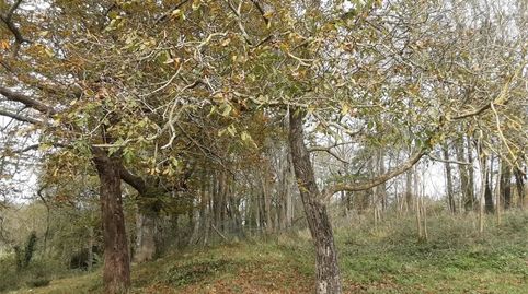 Foto 4 de Terreno en venta en Camino Txalaka, Oiartzun, Gipuzkoa