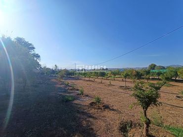 Terreny residencial en venda a Antigua Fábrica Harina
